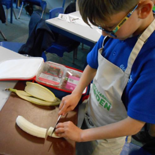 Y2fruit2